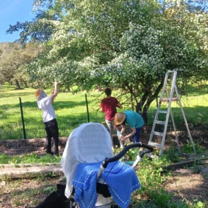 categoría de prueba