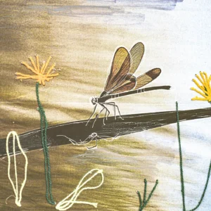 producto nuevo blablabla