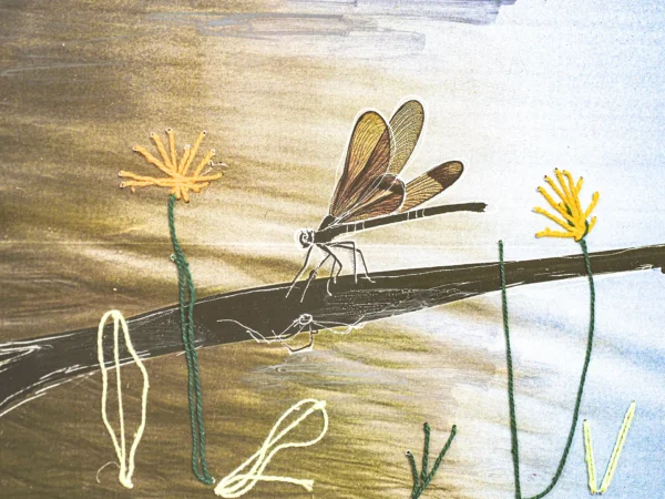 producto nuevo blablabla